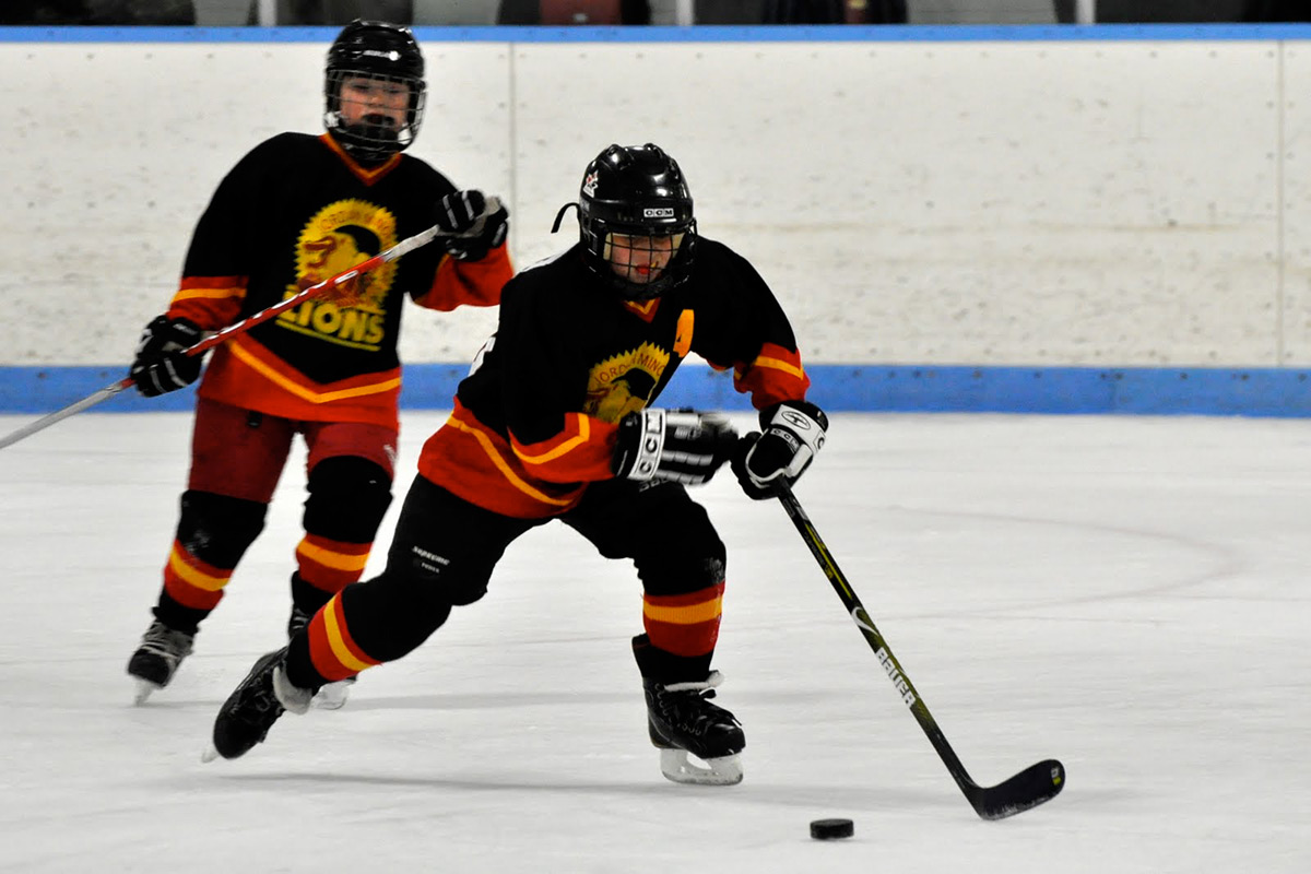 Jordan Lions Minor Hockey Association : Website by RAMP Interactive