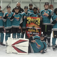 Fire Dragons - U15 Div 2 Gold