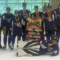 Pretty Purple Ponys - U13 Div1 Gold