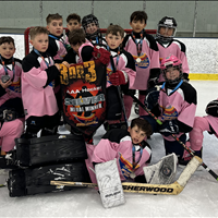 Wildcats - U9 Div 1 Silver