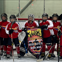 Strathcona Heart Breakers - U9 Div 1 Silver