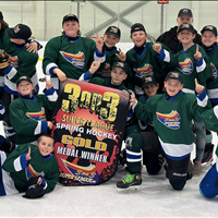 Arctic Assassins - U13 Div 4 Gold