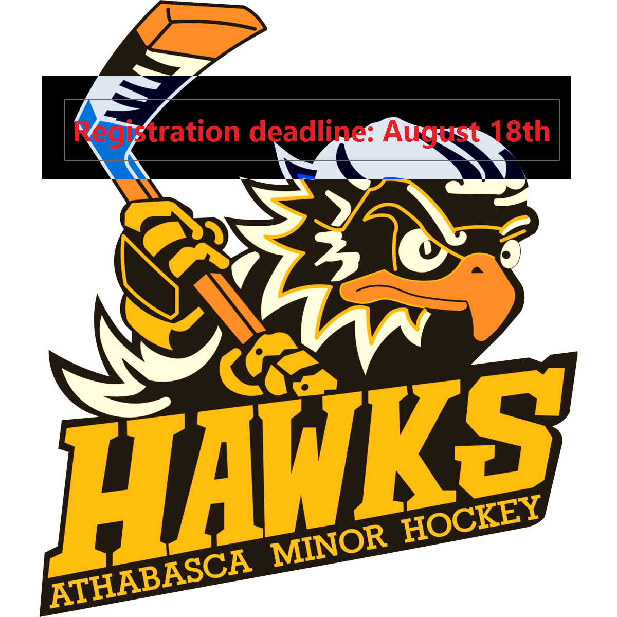 Athabasca & District Minor Hockey Association : Website by RAMP InterActive