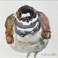 Gimpy, Watercolor, Private Collection