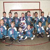 U7 SHARKS