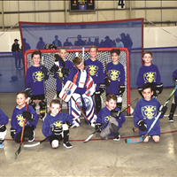 U7 WOLVERINES
