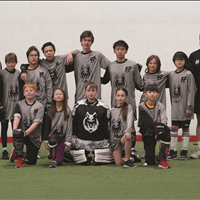 U13 FREE PLAY WOLVES - NORTH/CENTRAL