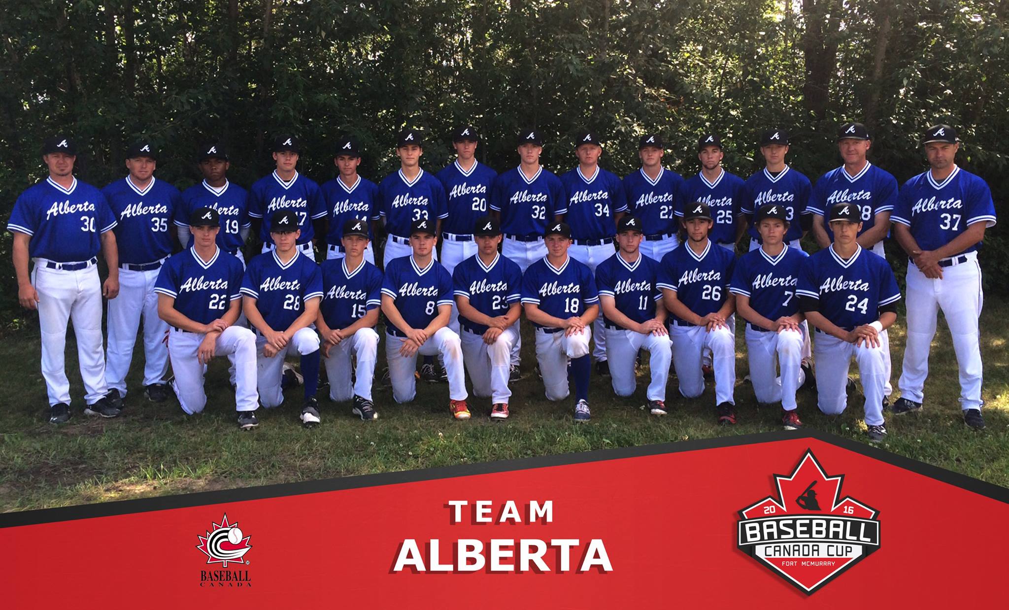 Baseball Alberta Website by RAMP InterActive