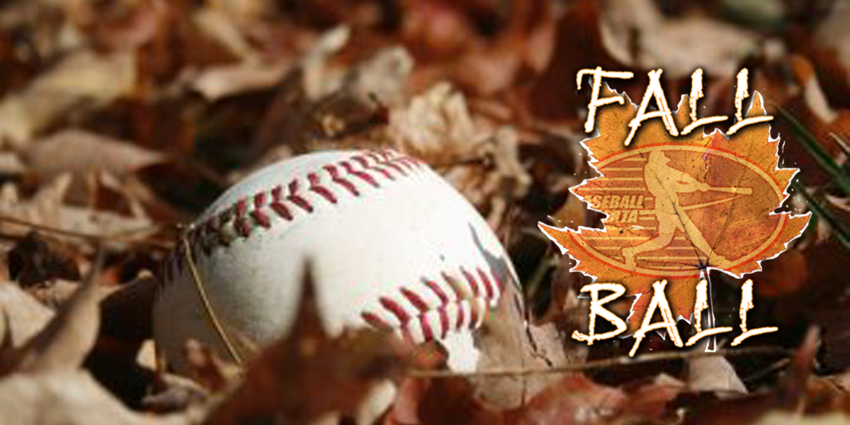 Baseball Alberta site by RAMP InterActive