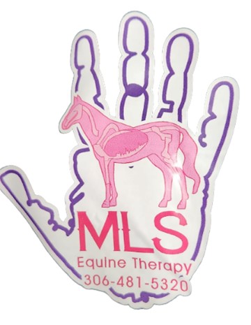 MLS Equine Therapy