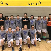 Girls Viper U12