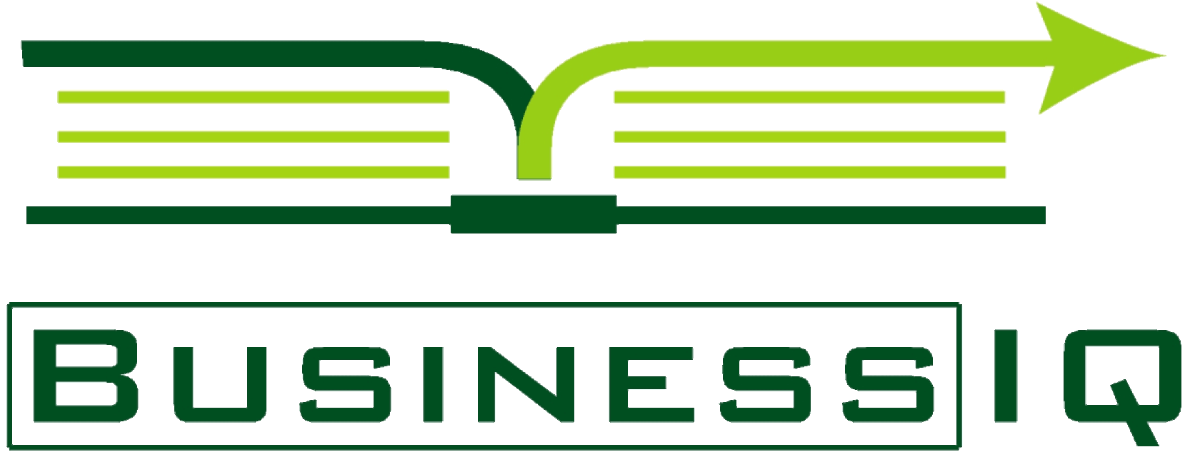 Business IQ Training Logo