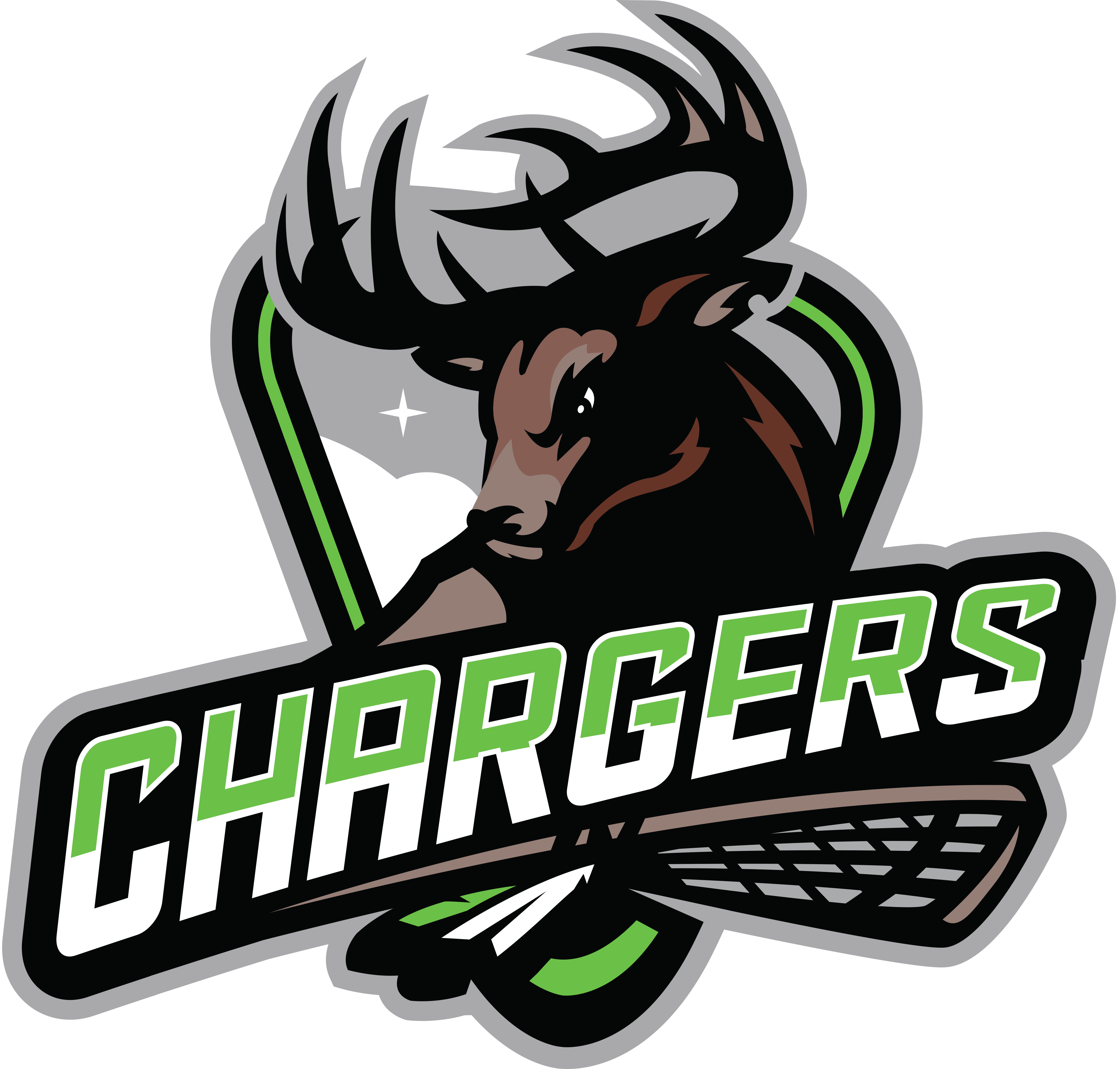 U17 Ruckus Central Alberta Lacrosse League site by RAMP InterActive