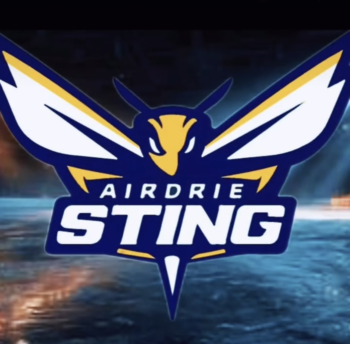 Follow Us on Instagram