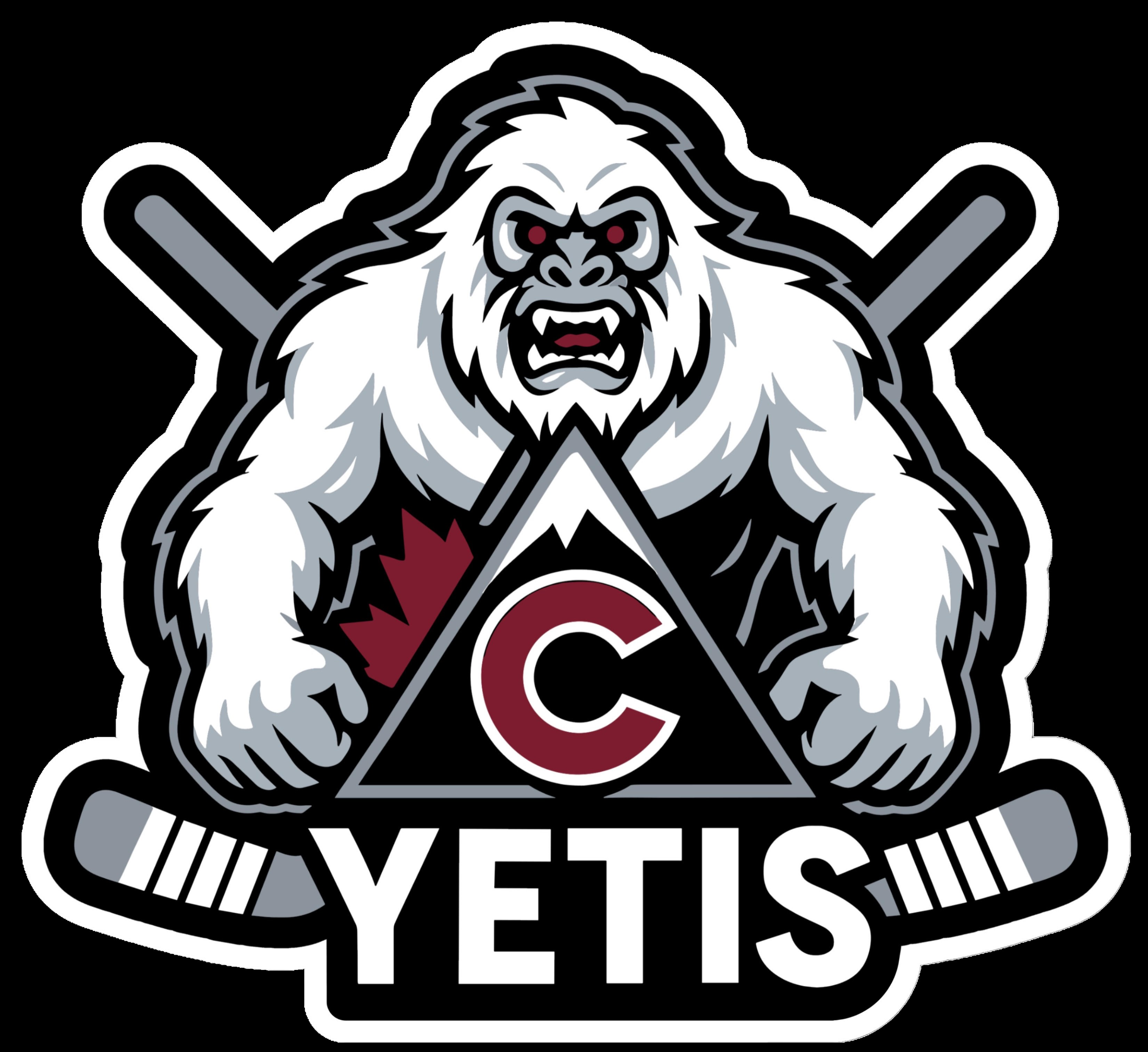 YETIS - B1