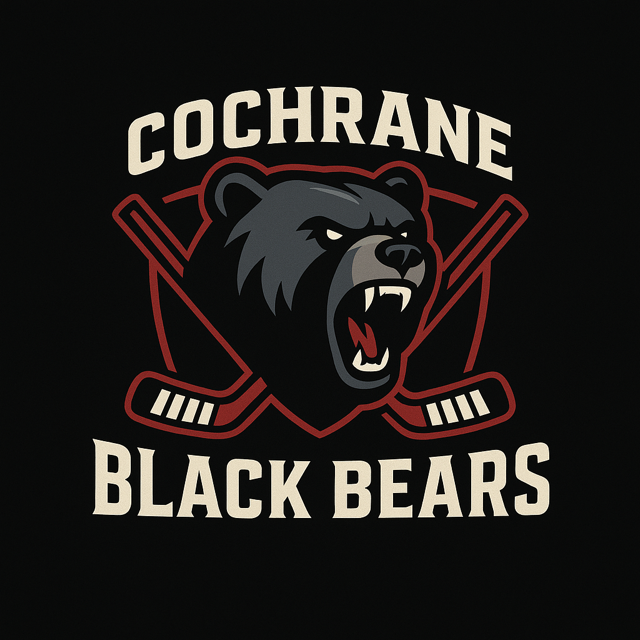 BLACK BEARS - B3