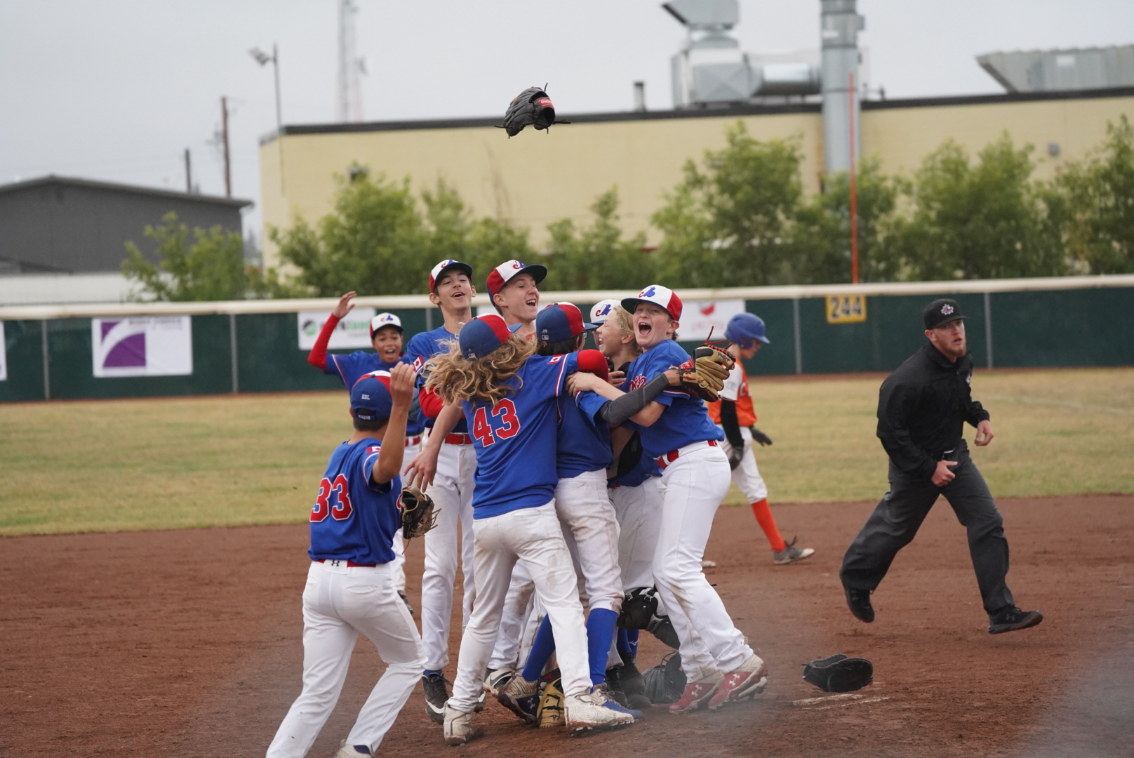 SEEBA Edmonton Expos Baseball site by RAMP InterActive