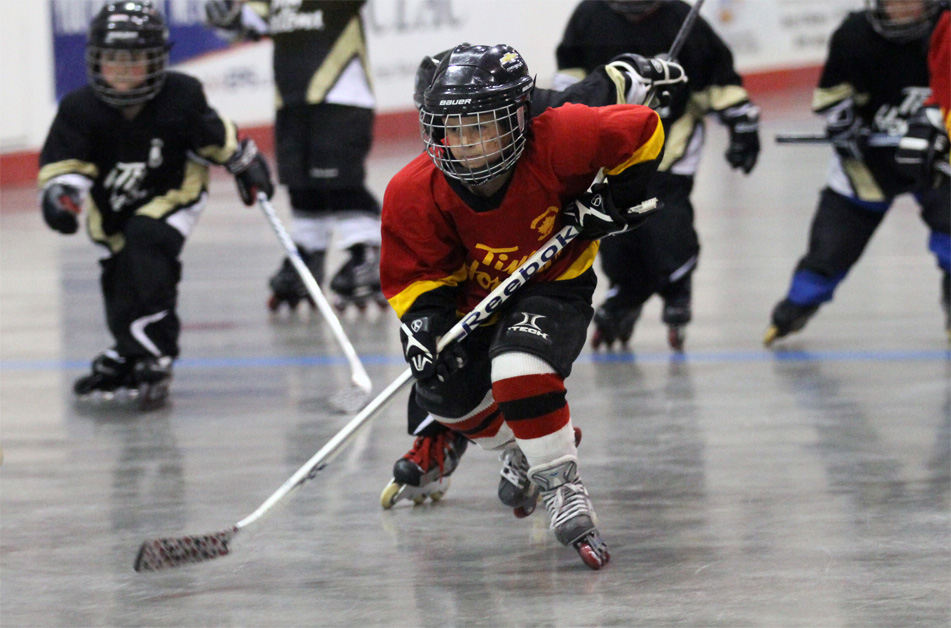 Edmonton Inline Hockey Association site by RAMP InterActive