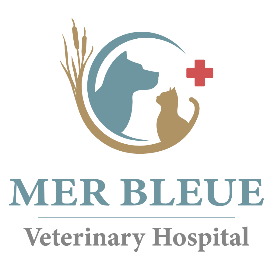 Mer Bleue Veterinary Hospital