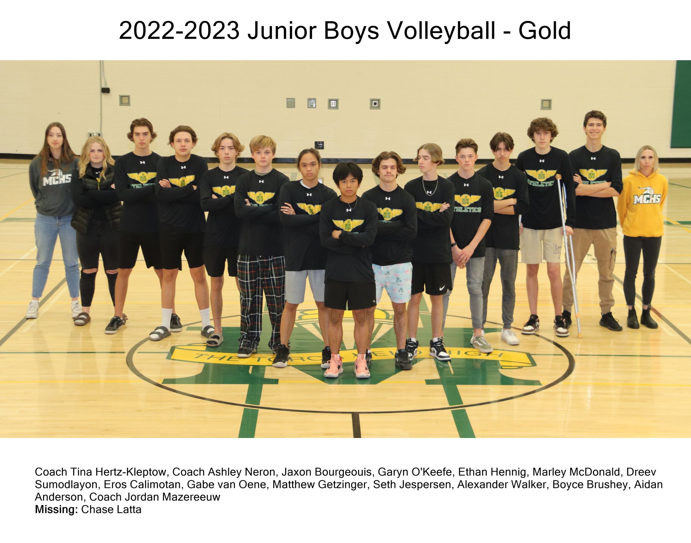 Jr Boys Gold Volleyball