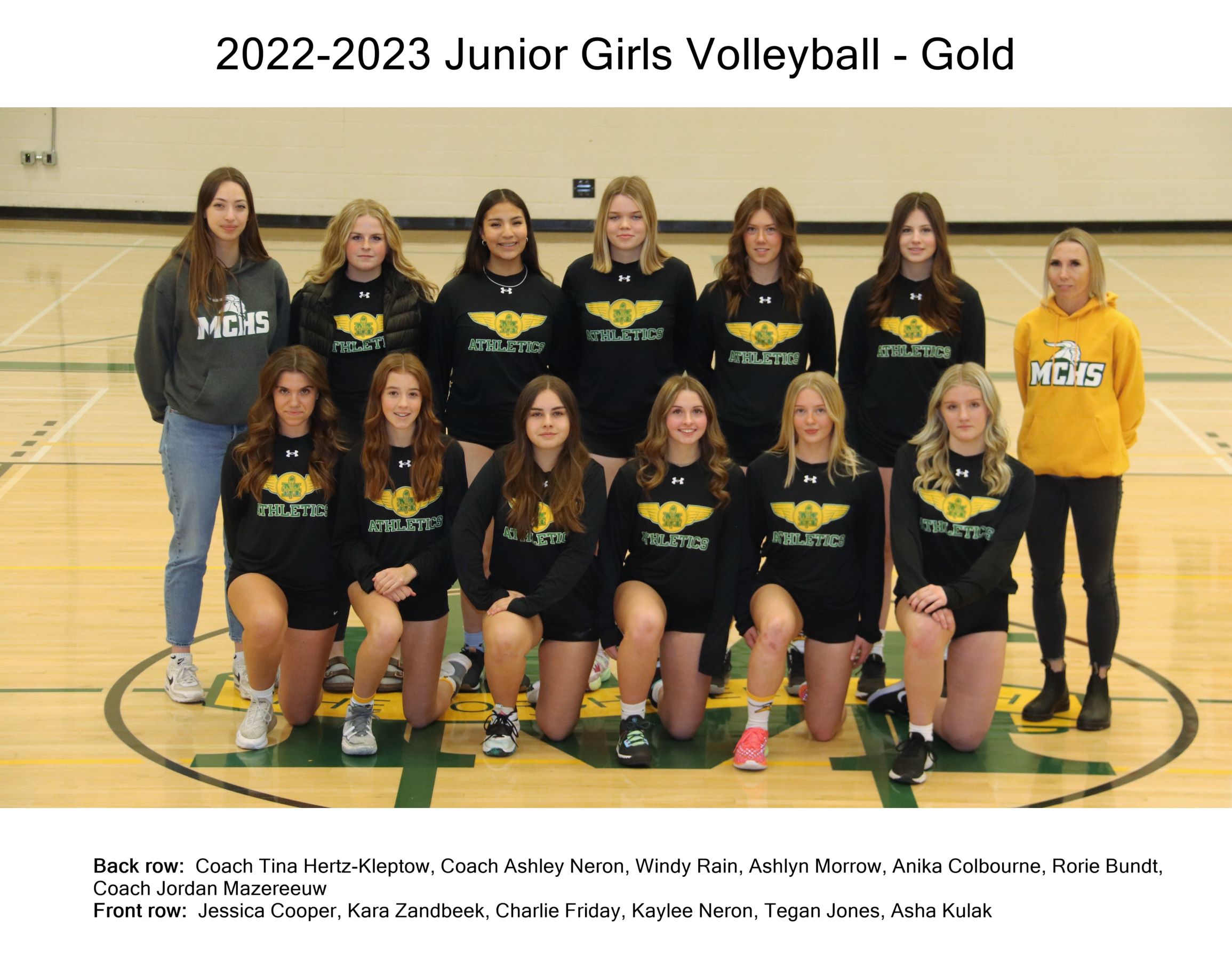 Jr Girls Volleyball - Gold