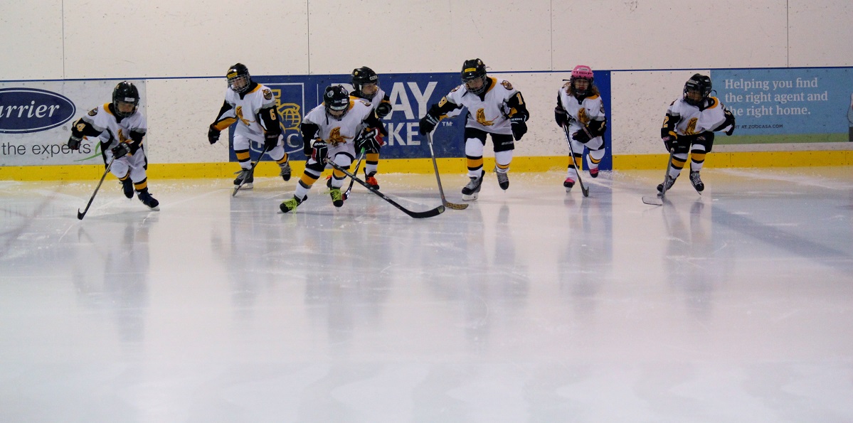 Hawks Athletic Club - Edmonton Minor Hockey : Website by RAMP InterActive