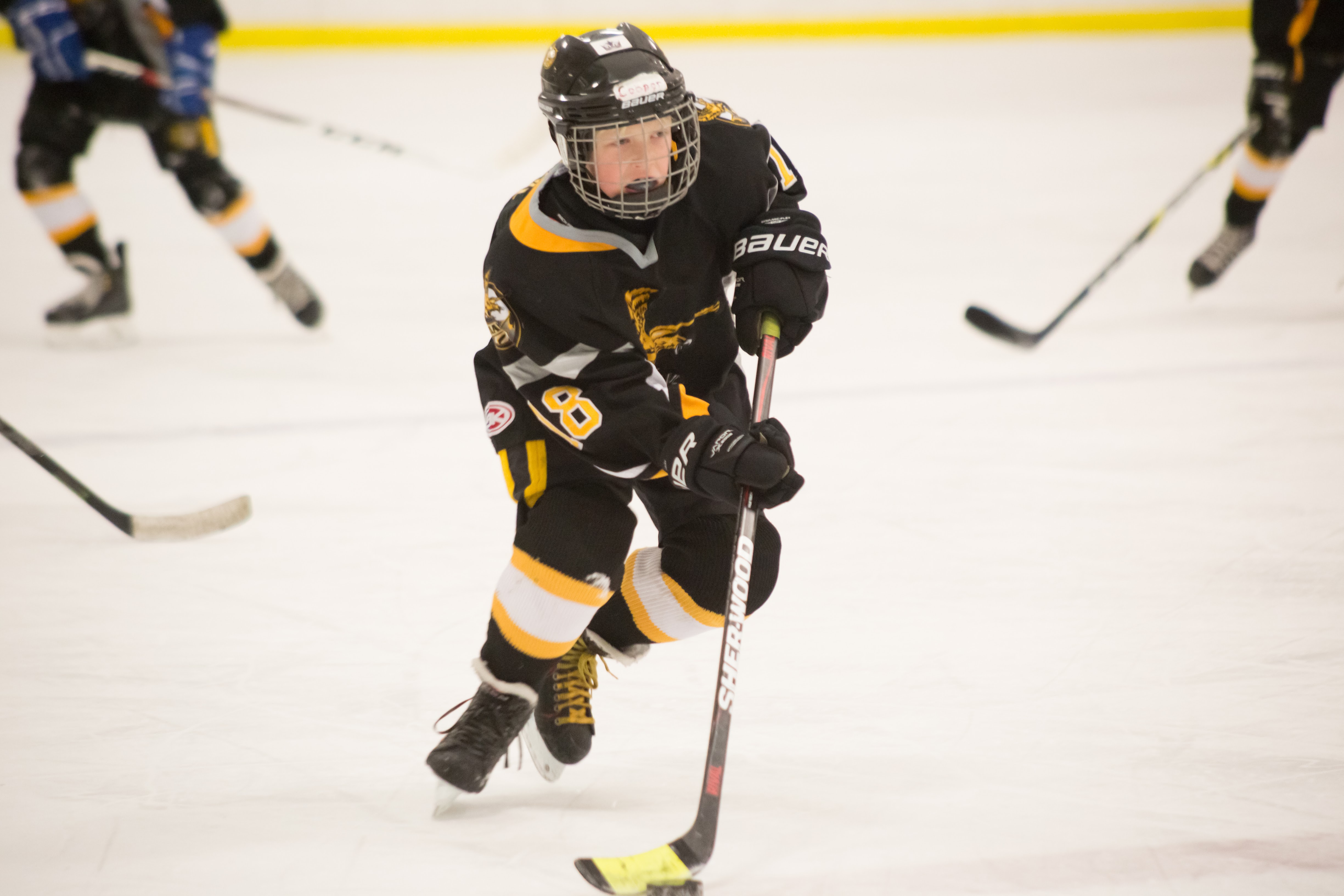 Hawks Athletic Club - Edmonton Minor Hockey : Website by RAMP InterActive