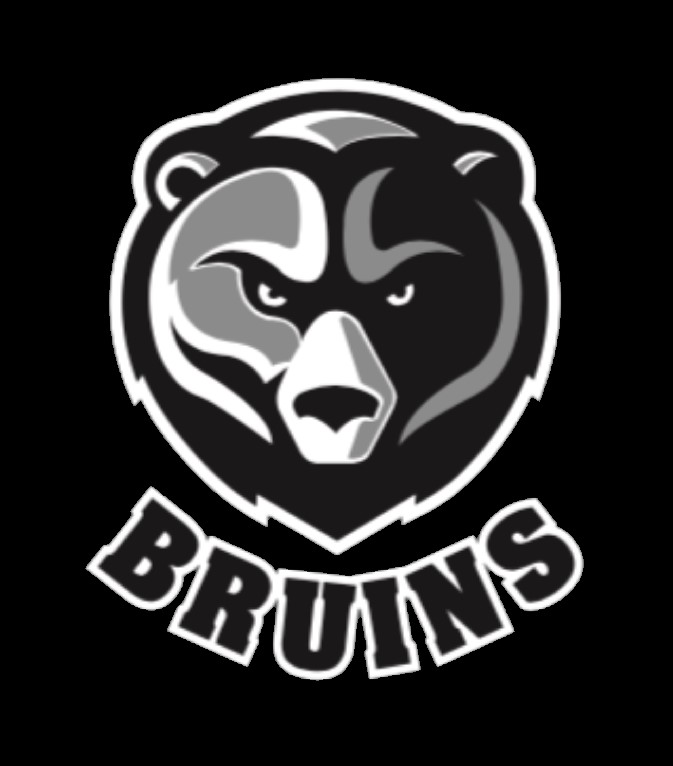 SE422 - MILLWOODS BRUINS - Hockey Edmonton : Website by RAMP InterActive