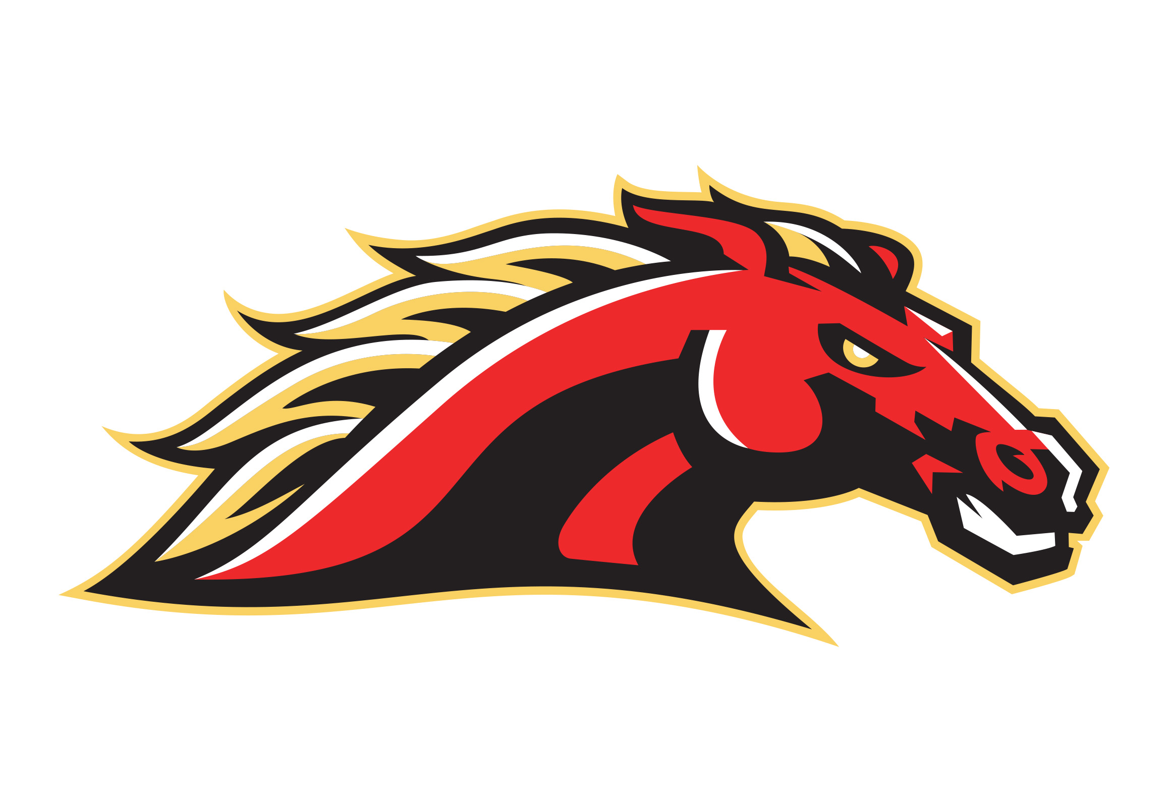 Regina Mustangs - Hockey Regina Tournaments : Website By RAMP InterActive