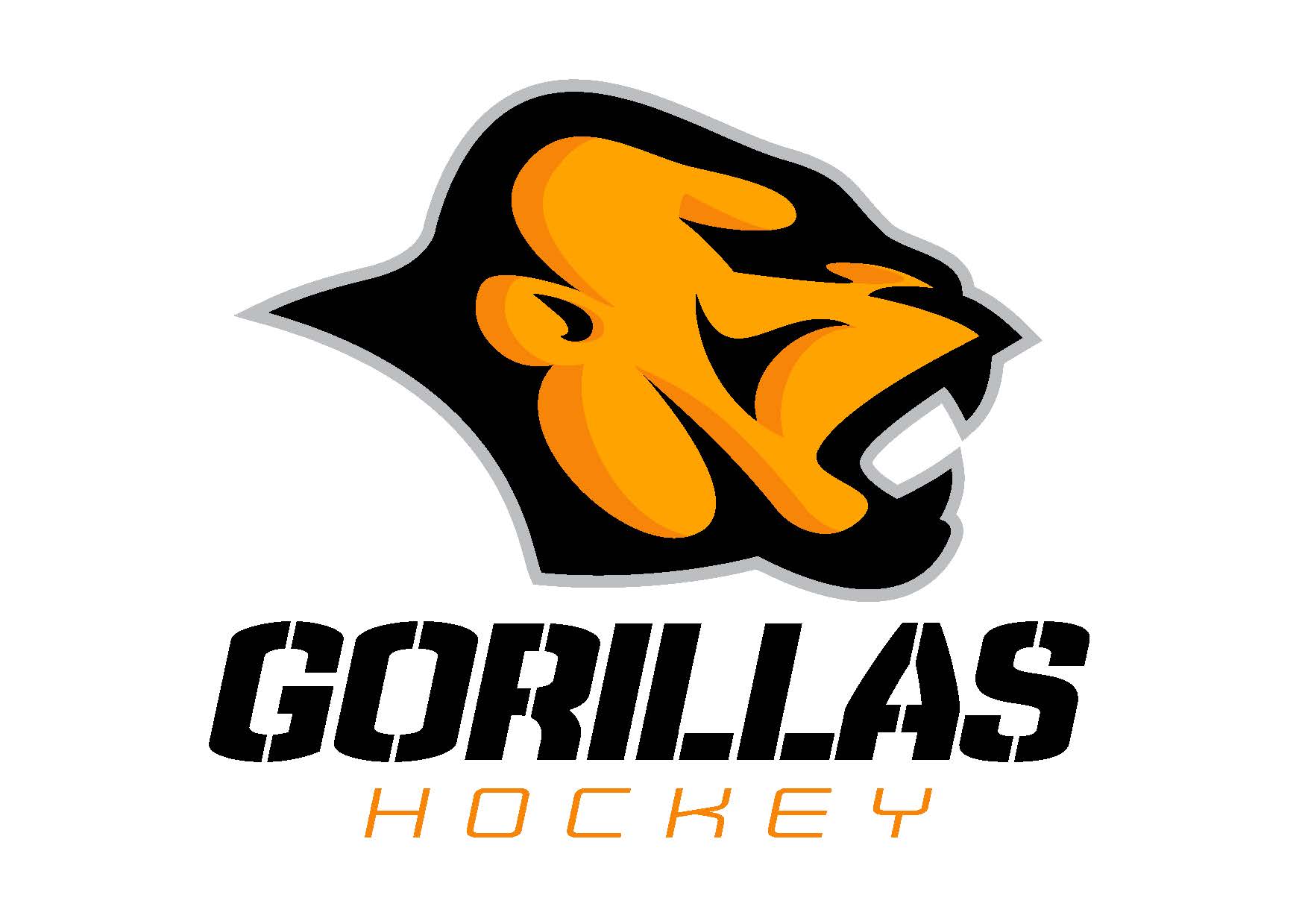 HSL Hockey Super League site by RAMP InterActive