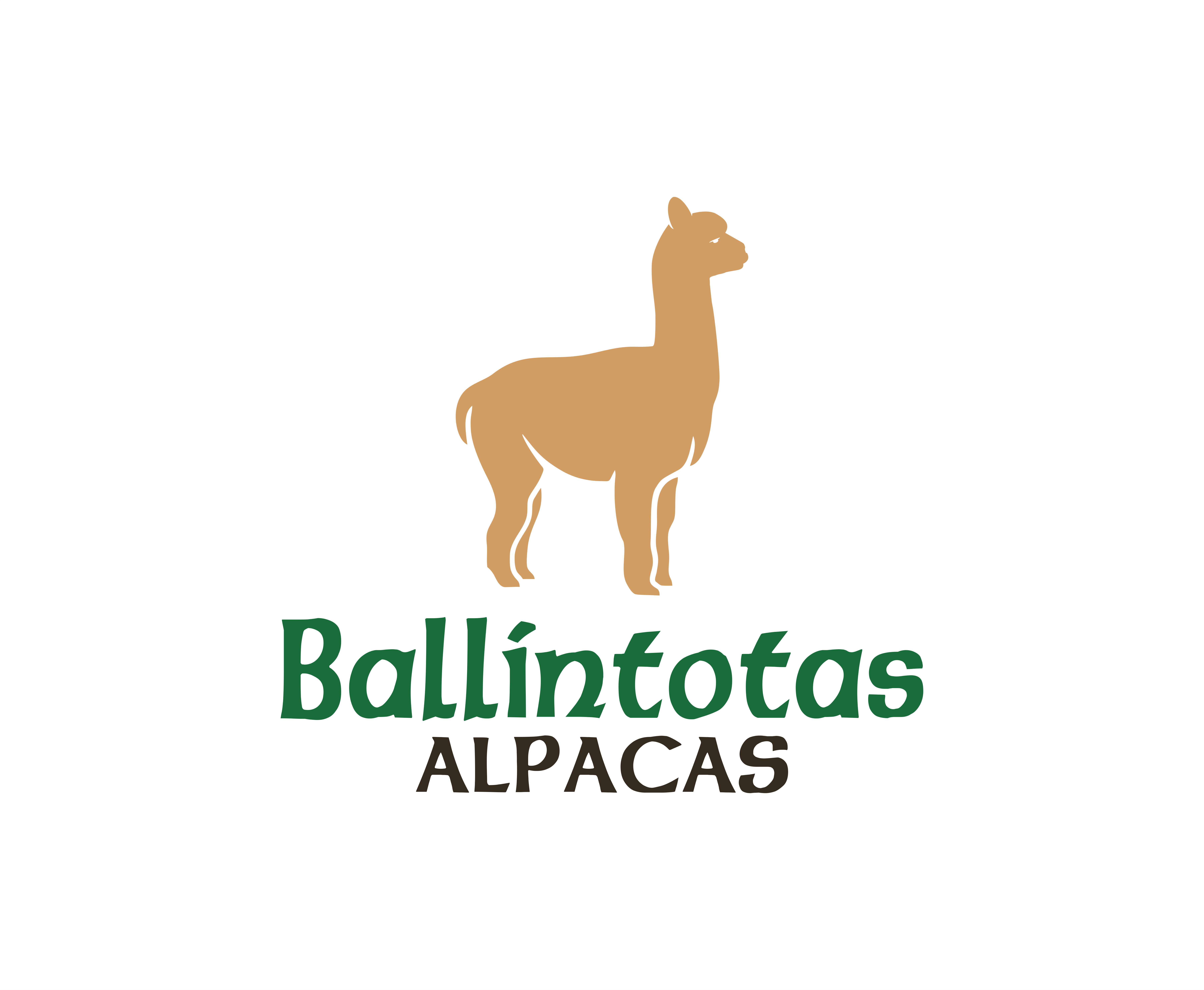 Ballintotas Alpacas