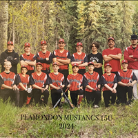 Plamondon 15U