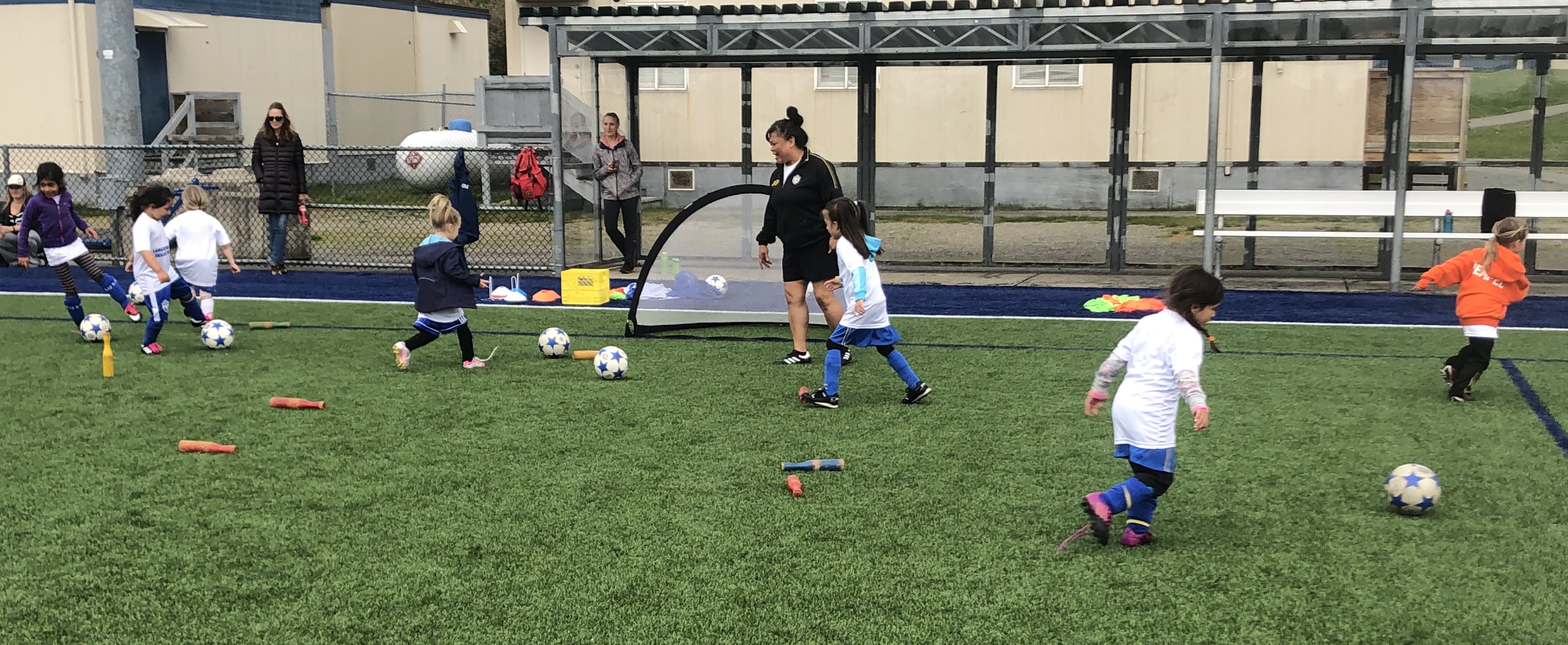 Langley United Youth Soccer Association site by RAMP InterActive