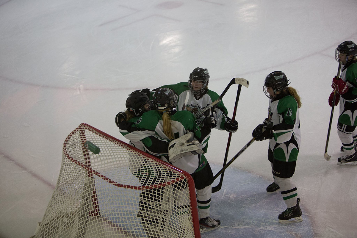 Moose Jaw Minor Hockey Association site by RAMP InterActive