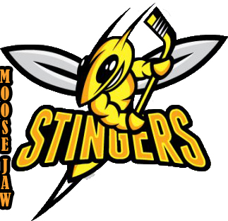 atomc stingers moose jaw