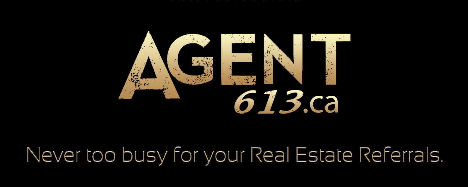 Agent 613
