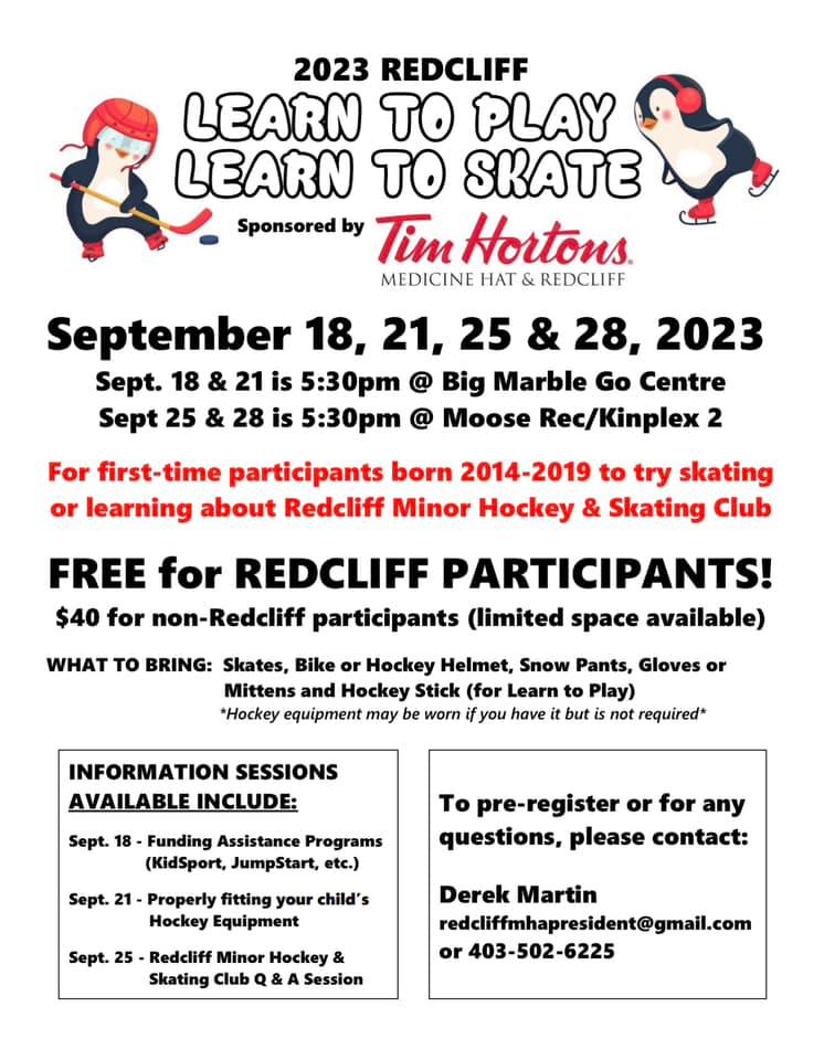 Learn To Skate