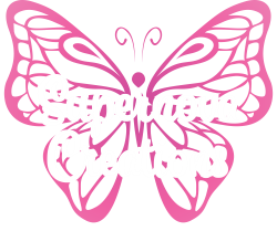 U15 C Supernova Creations