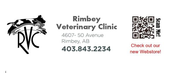 Rimbey Vet Clinic