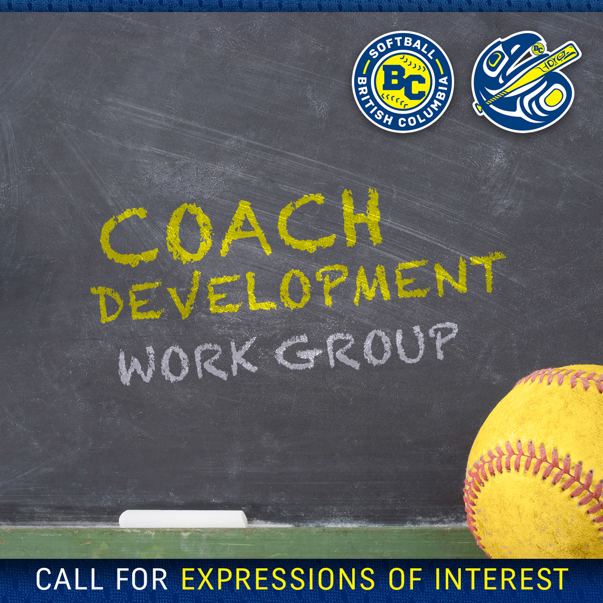 Coach Development Work Group. Expression of Interest