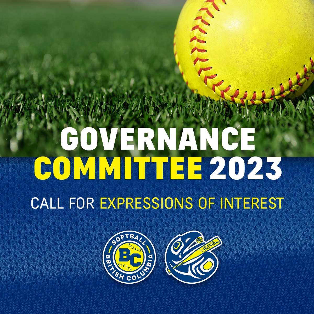 Governance Committee Expression of Interest