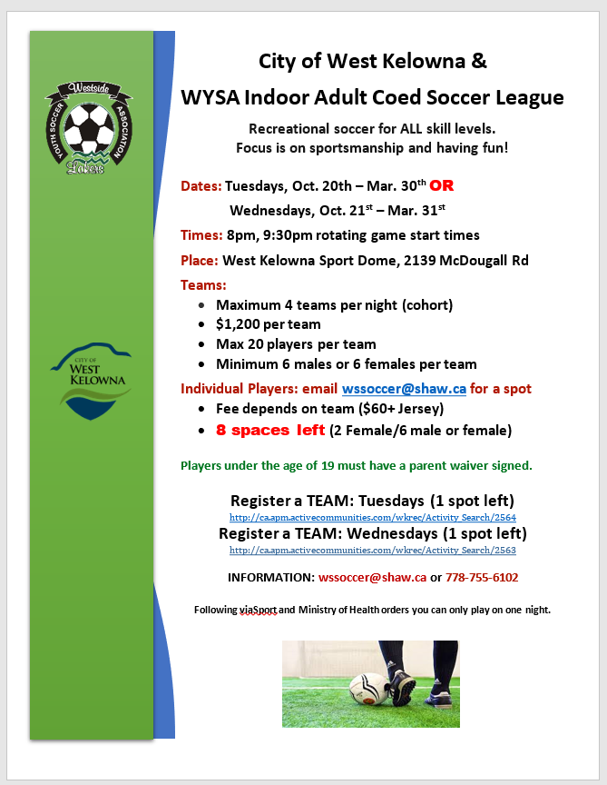 wysa indoor soccer